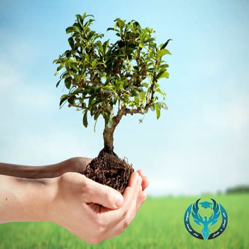 کاشت نهال به مناسبت روز درختکاری